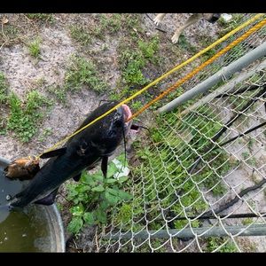 Meet your Posher, Austin